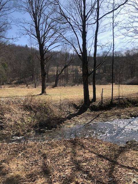 68 Acres of Recreational & Residential Land for Sale in Tompkins Town, New York