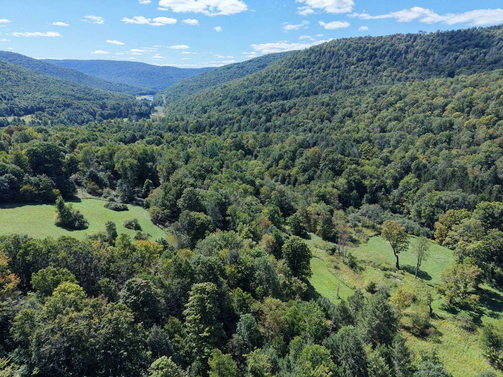 68 Acres of Recreational & Residential Land for Sale in Tompkins Town, New York