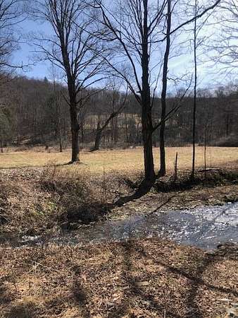 68 Acres of Recreational & Residential Land for Sale in Tompkins Town, New York