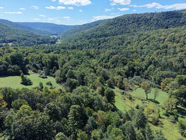 68 Acres of Recreational & Residential Land for Sale in Tompkins Town, New York