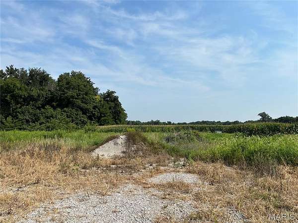 5 Acres of Agricultural Land for Sale in Bunker Hill, Illinois