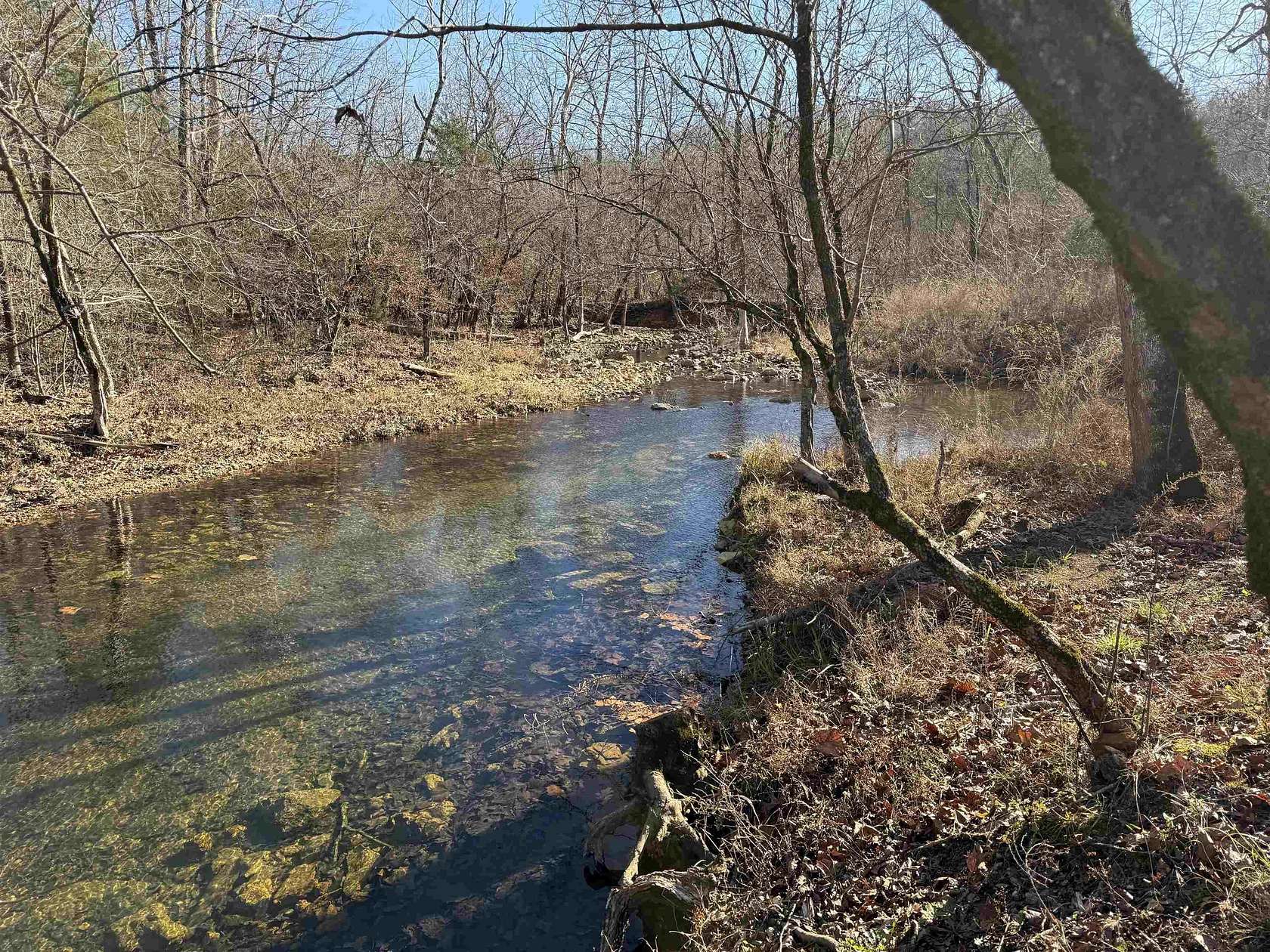 200 Acres of Land for Sale in Ravenden, Arkansas
