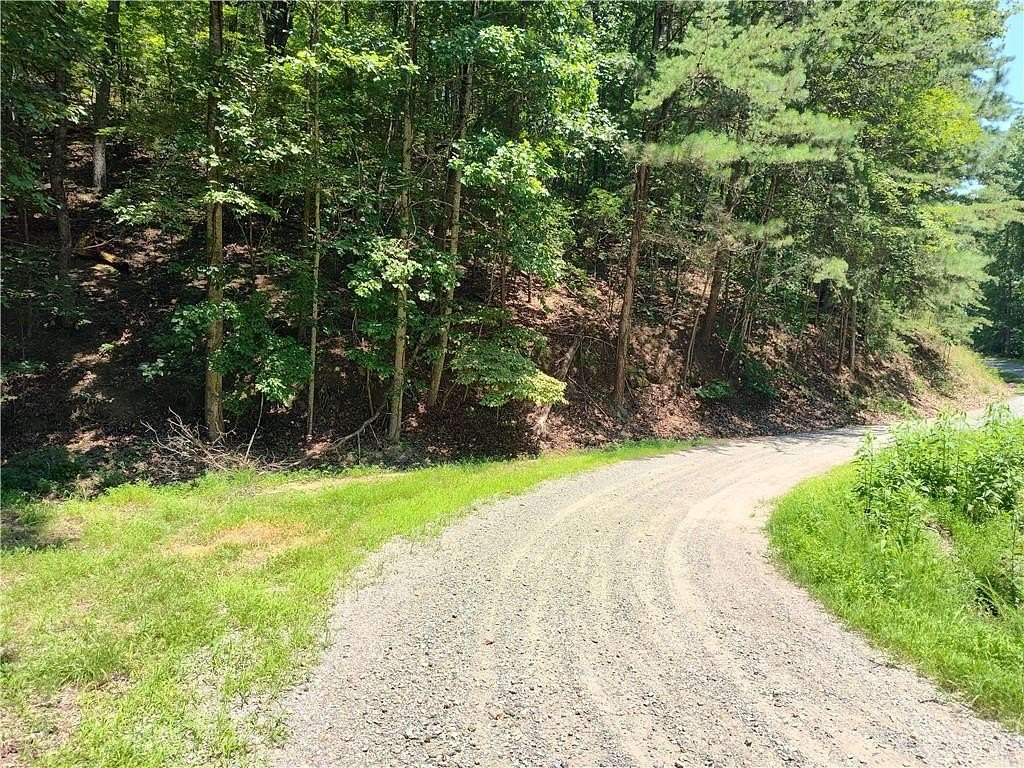 1.4 Acres of Residential Land for Sale in Ranger, Georgia
