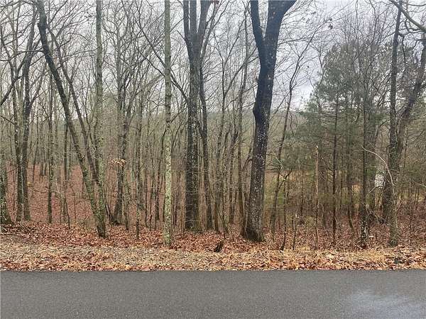 1.19 Acres of Land for Sale in Silver Creek, Georgia