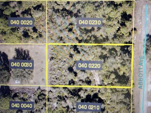 0.5 Acres of Residential Land for Sale in Alva, Florida