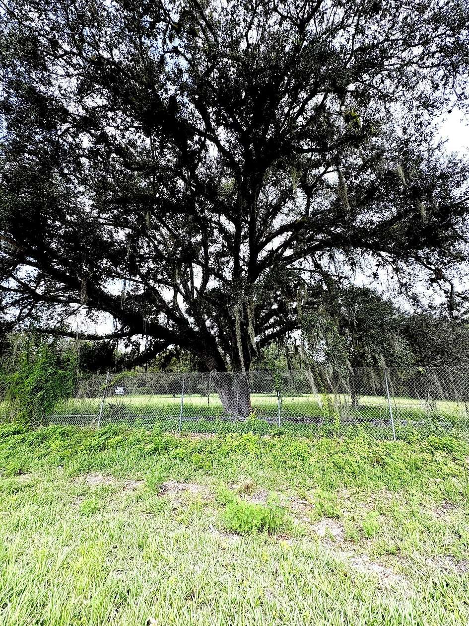 1.25 Acres of Land for Sale in Clewiston, Florida