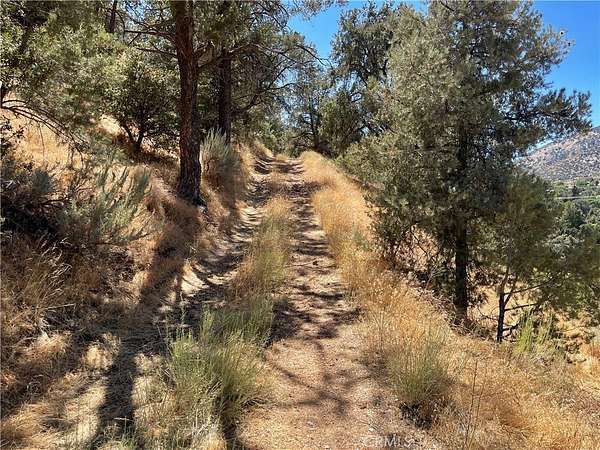 0.39 Acres of Residential Land for Sale in Frazier Park, California