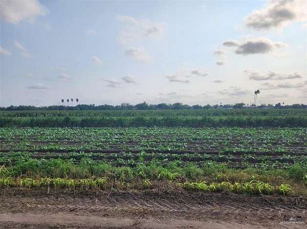 16.8 Acres of Land for Sale in San Juan, Texas