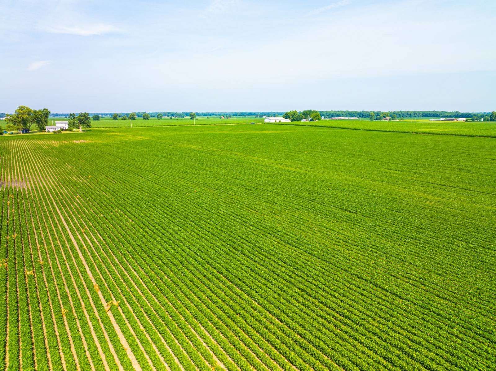 197 Acres of Land with Home for Auction in Mentone, Indiana