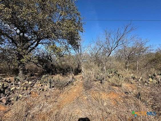 0.12 Acres of Residential Land for Sale in Granite Shoals, Texas