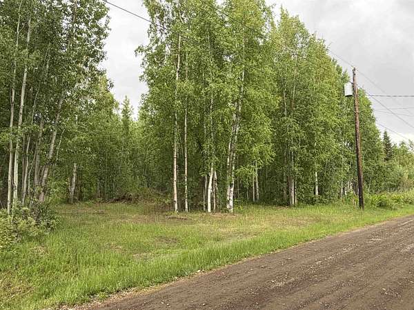 0.54 Acres of Residential Land for Sale in North Pole, Alaska