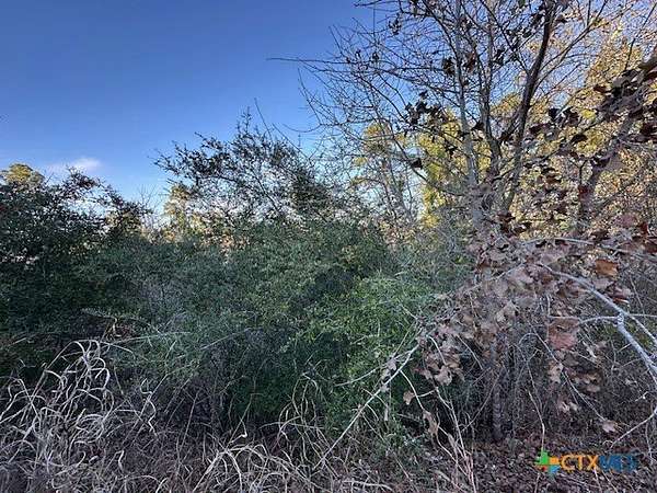 0.2 Acres of Residential Land for Sale in Bastrop, Texas