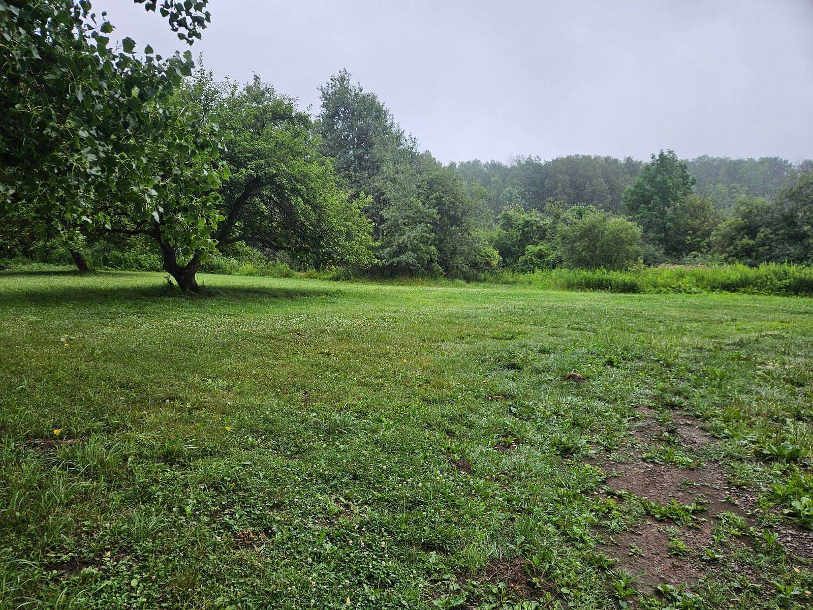11 Acres of Recreational Land with Home for Auction in Farmersville Station, New York