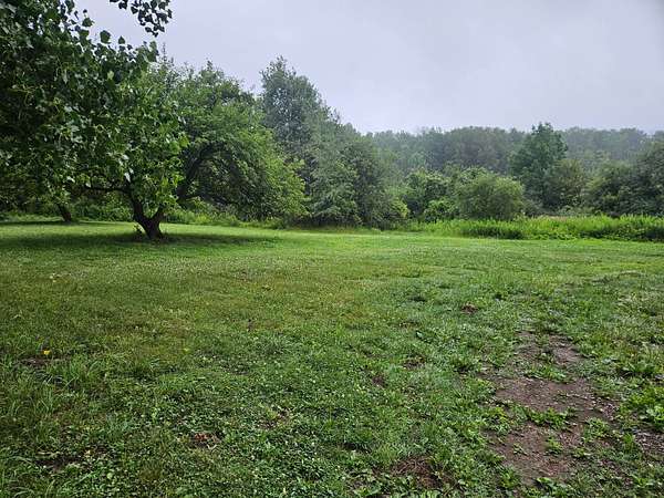 11 Acres of Recreational Land with Home for Auction in Farmersville Station, New York