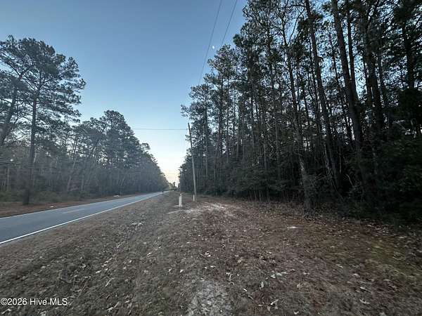46 Acres of Recreational Land for Sale in Currie, North Carolina
