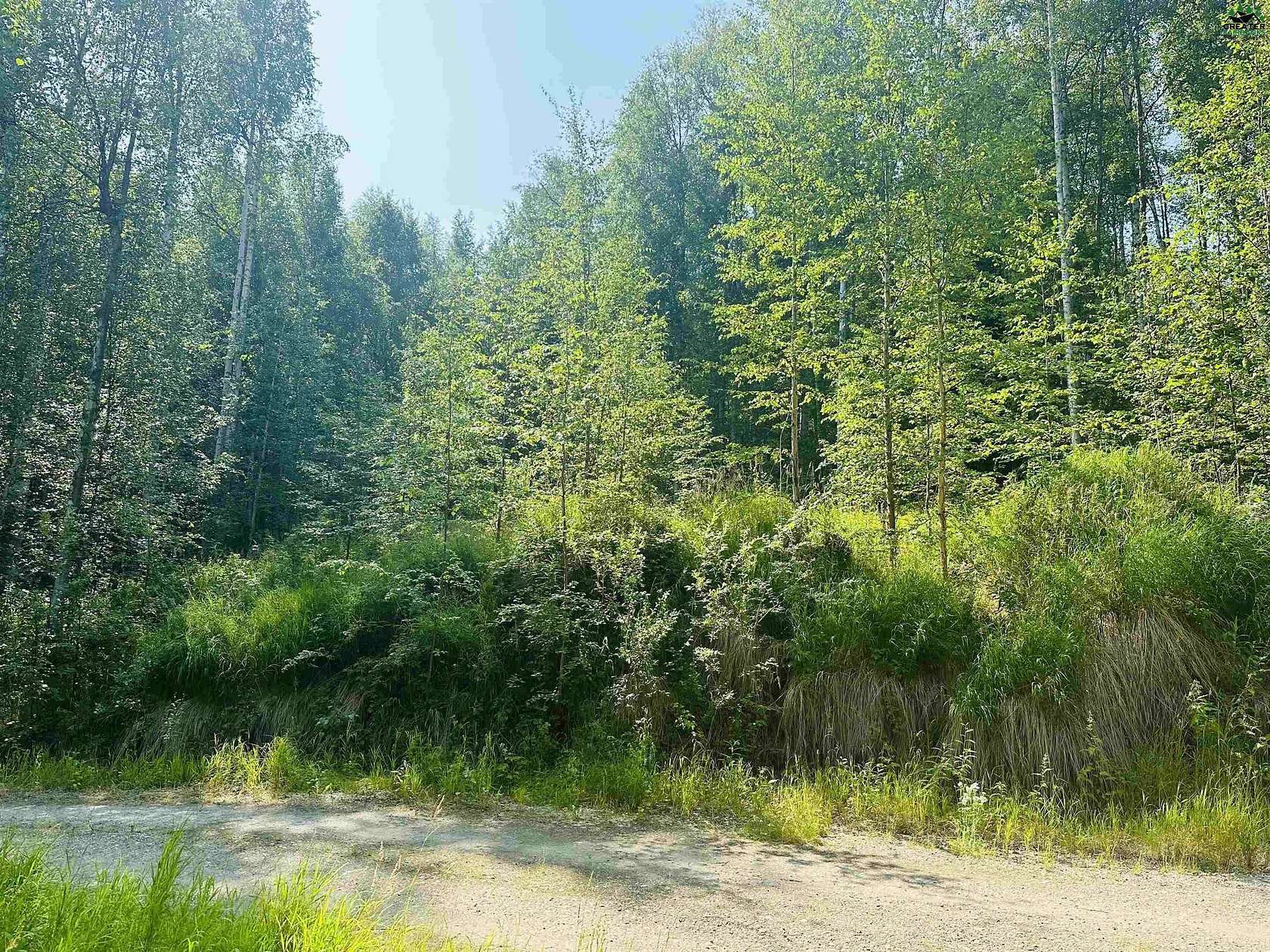 11.3 Acres of Land for Sale in Fairbanks, Alaska