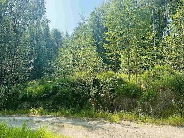 11.3 Acres of Land for Sale in Fairbanks, Alaska