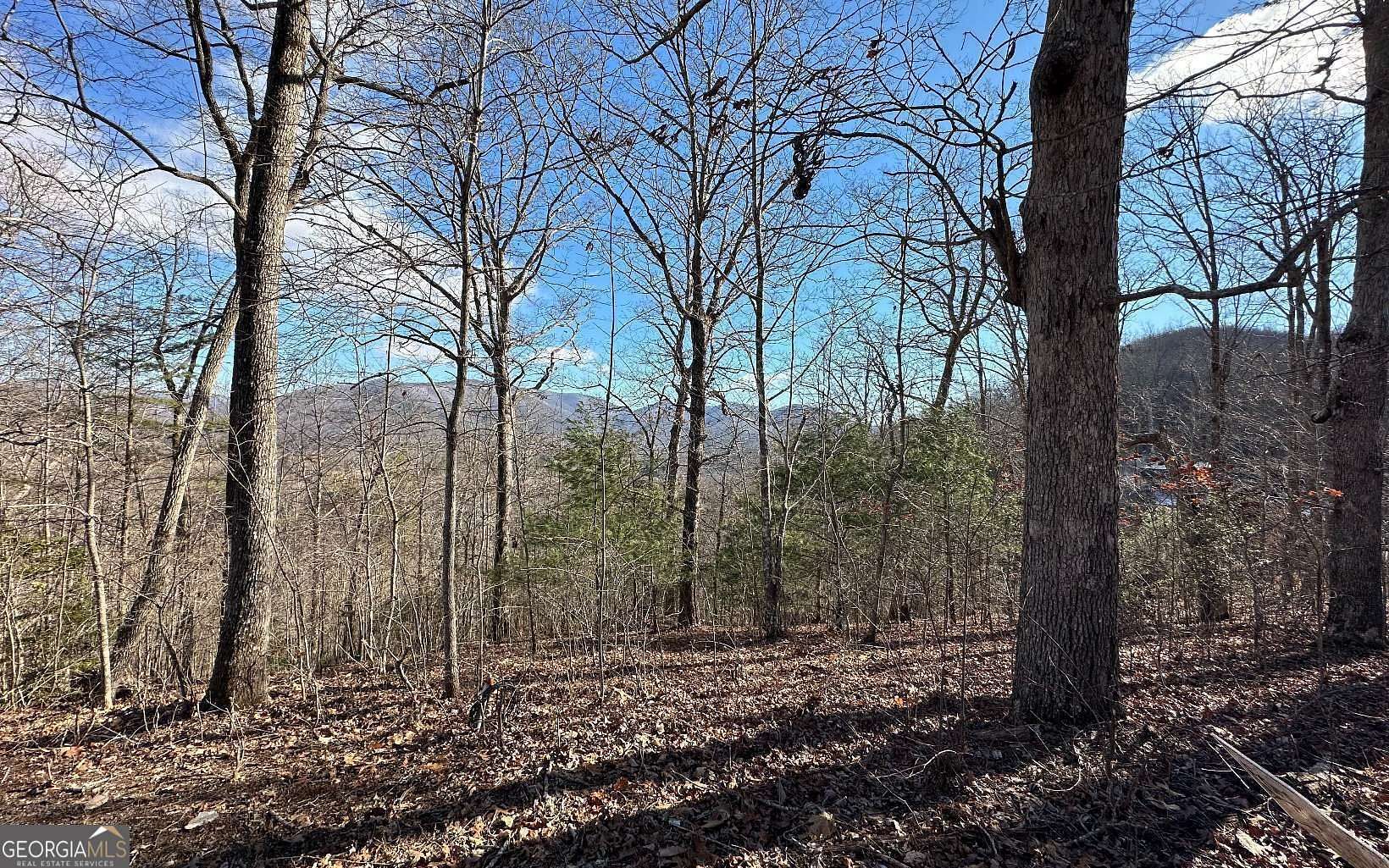 1.12 Acres of Residential Land for Sale in Hiawassee, Georgia