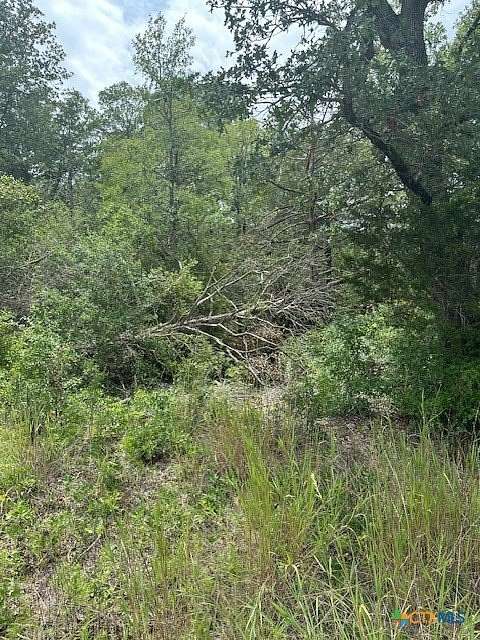 1.6 Acres of Land for Sale in Bastrop, Texas