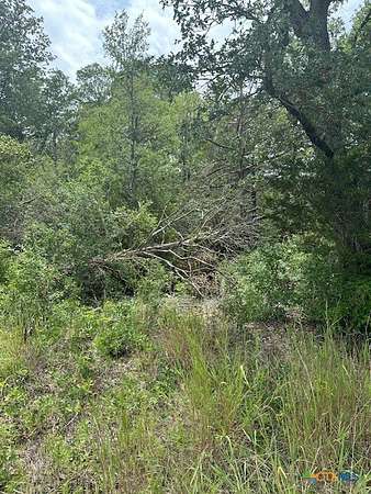1.6 Acres of Land for Sale in Bastrop, Texas