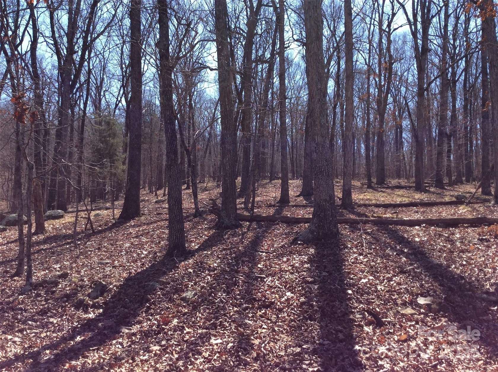 2 Acres of Residential Land for Sale in Denton, North Carolina