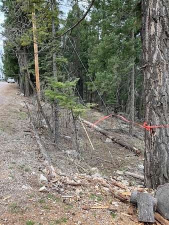 0.31 Acres of Residential Land for Sale in Cloudcroft, New Mexico