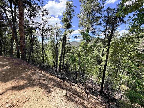 0.41 Acres of Residential Land for Sale in High Rolls, New Mexico