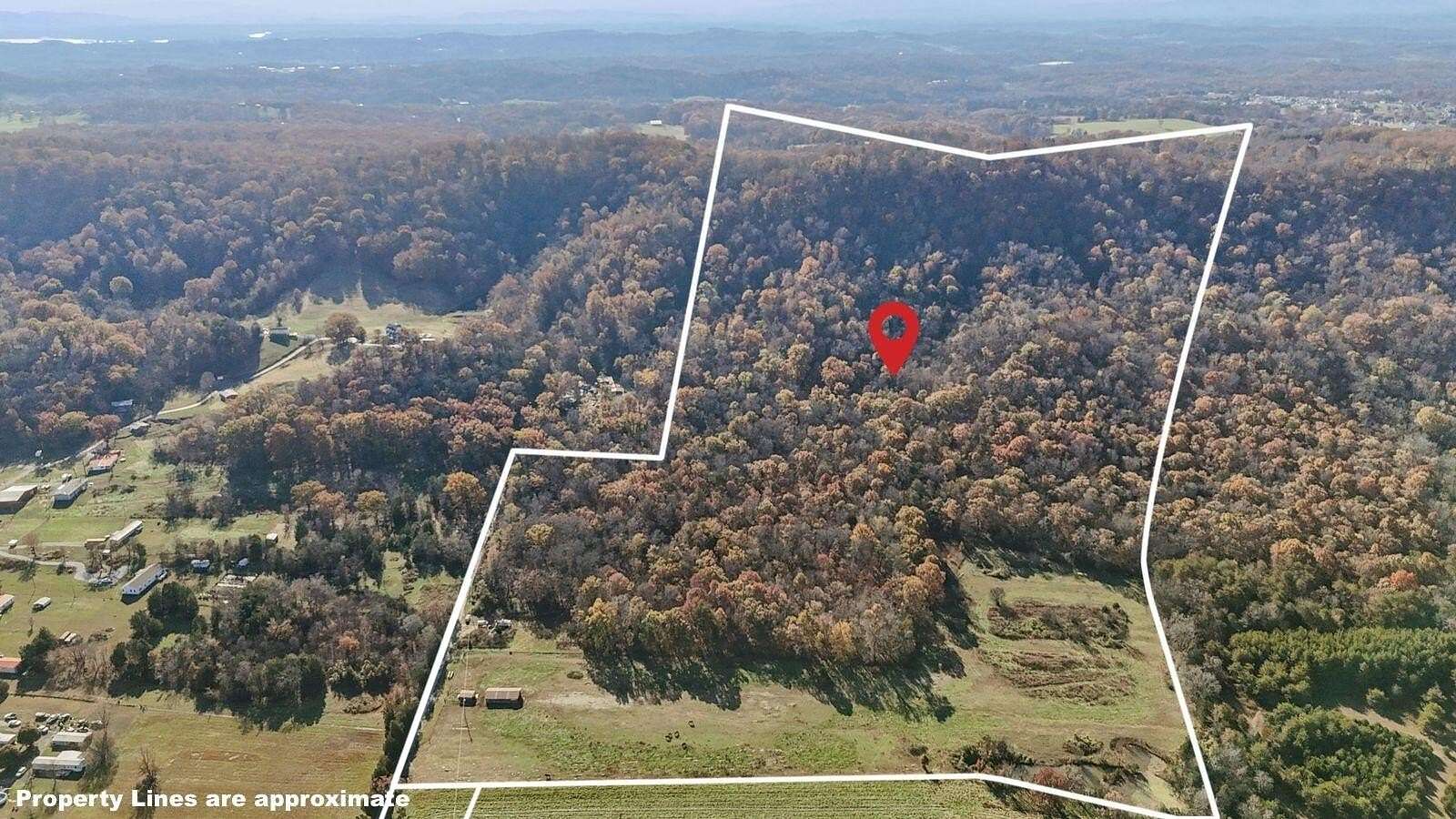 85.9 Acres of Land for Sale in New Market, Tennessee