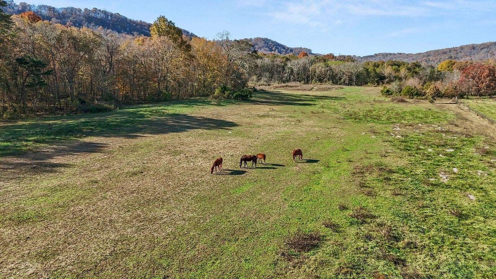 85.9 Acres of Land for Sale in New Market, Tennessee