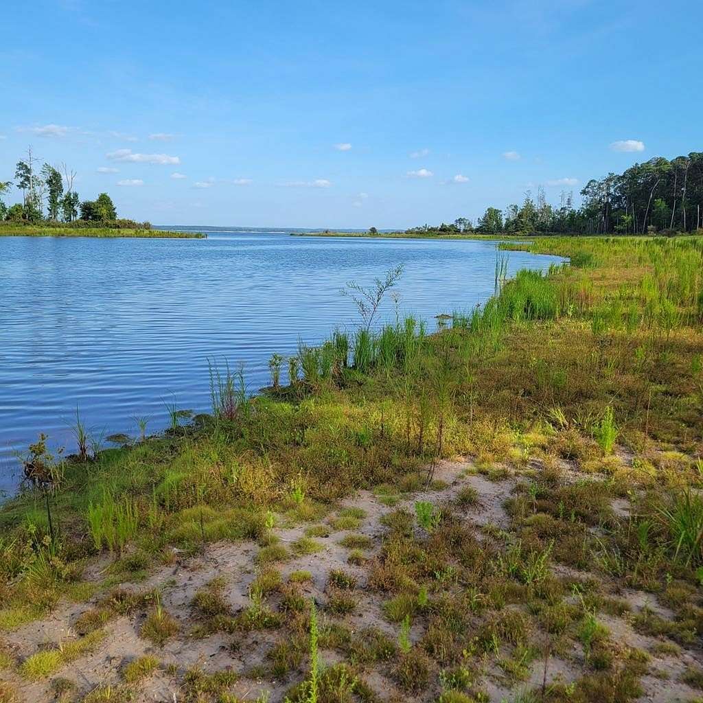 3.55 Acres of Land for Sale in Broaddus, Texas