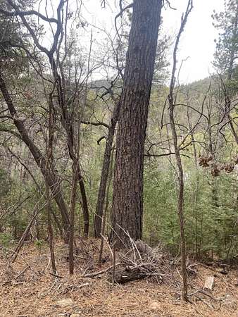 0.25 Acres of Residential Land for Sale in High Rolls, New Mexico