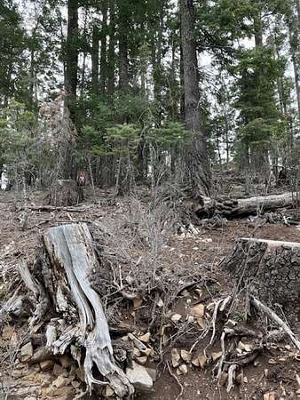 0.3 Acres of Residential Land for Sale in Cloudcroft, New Mexico