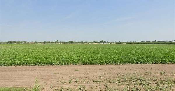 11.9 Acres of Land for Sale in Alamo, Texas