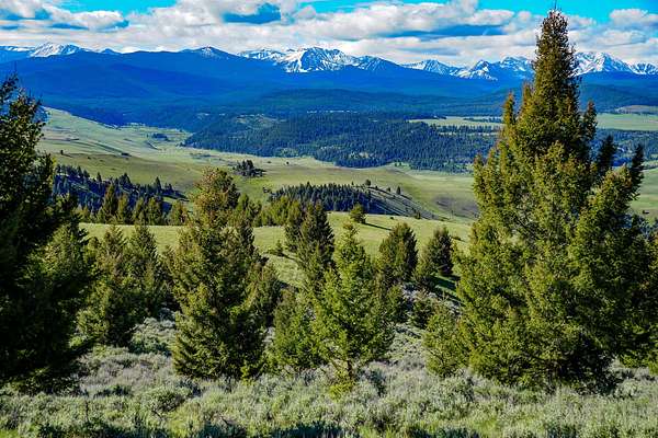 640 Acres of Recreational Land for Sale in Philipsburg, Montana