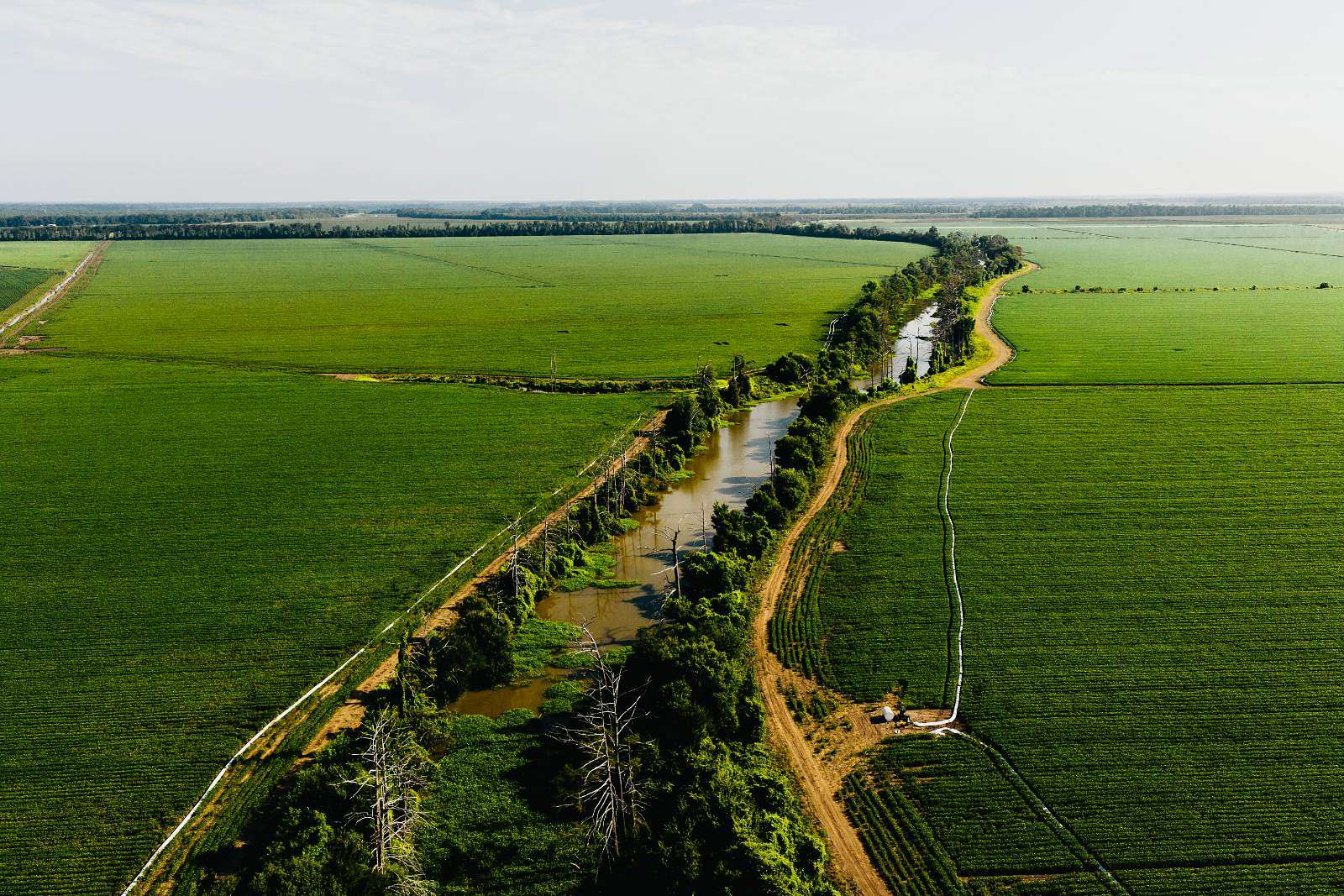 1,478 Acres of Land for Sale in Tallulah, Louisiana