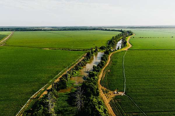 1,478 Acres of Land for Sale in Tallulah, Louisiana