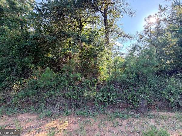Residential Land for Sale in Roberta, Georgia