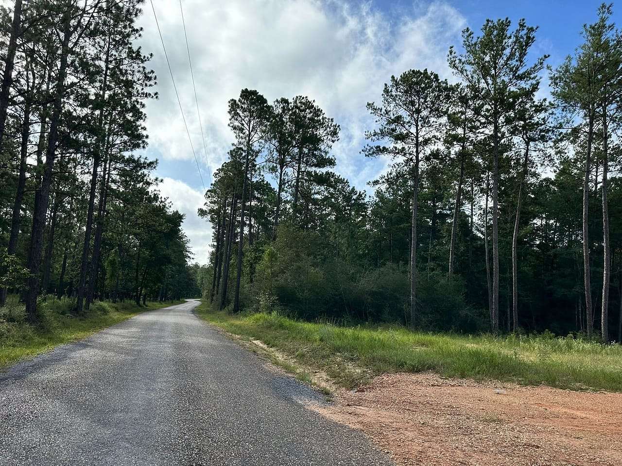 170 Acres of Land for Sale in Sumrall, Mississippi