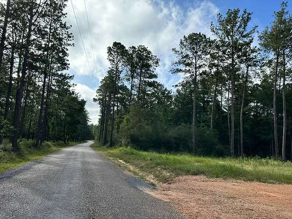 170 Acres of Land for Sale in Sumrall, Mississippi