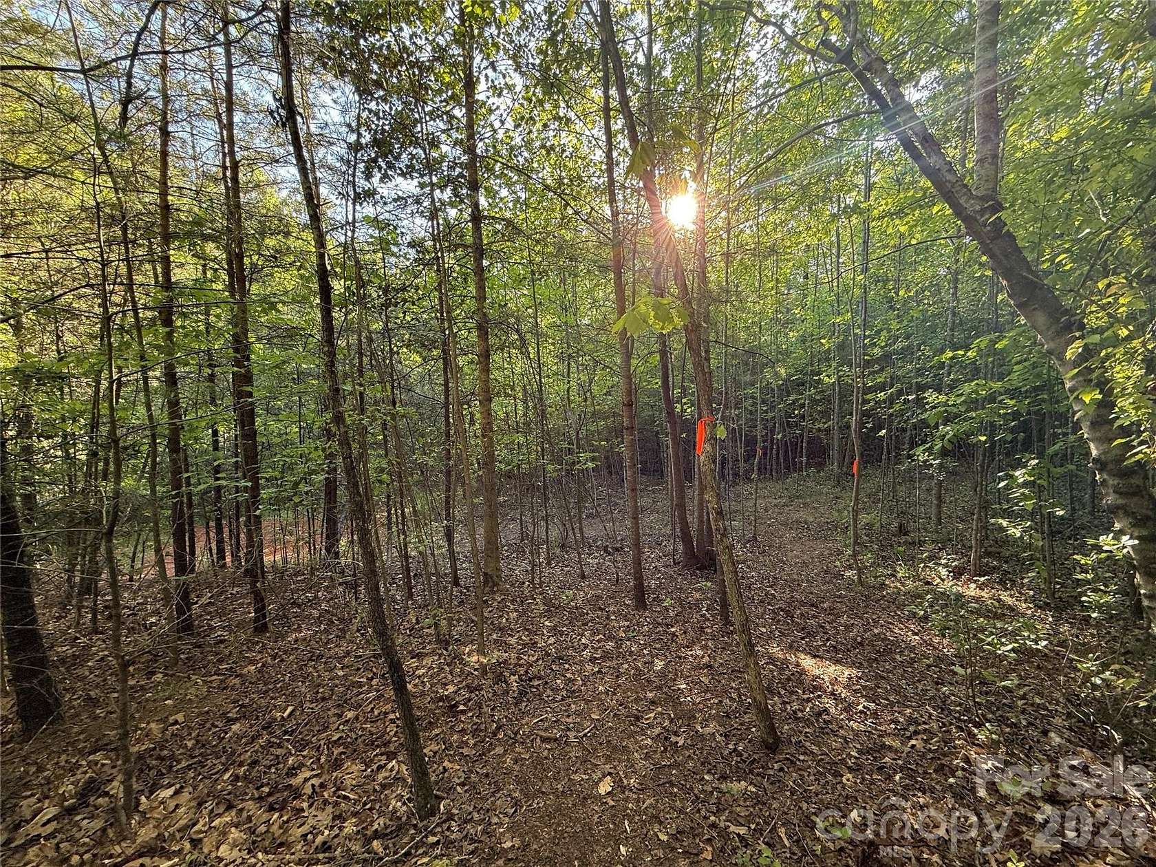 1.17 Acres of Residential Land for Sale in Hendersonville, North Carolina