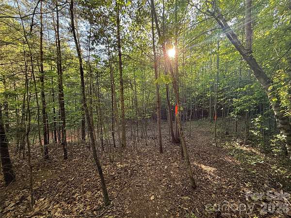 1.17 Acres of Residential Land for Sale in Hendersonville, North Carolina