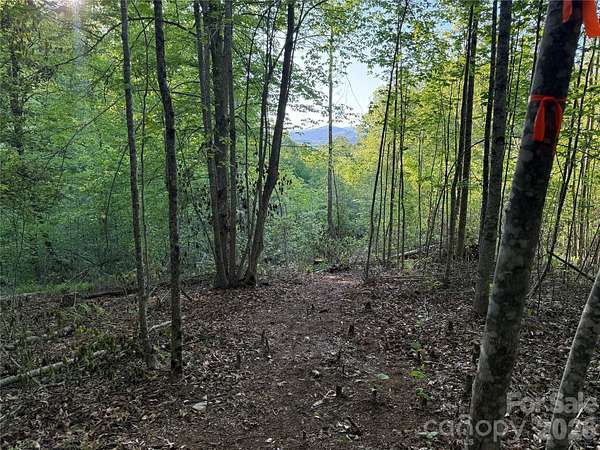 1.16 Acres of Residential Land for Sale in Hendersonville, North Carolina
