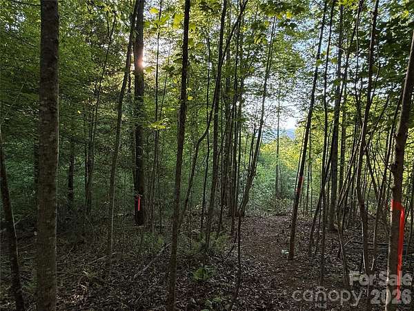 1.23 Acres of Residential Land for Sale in Hendersonville, North Carolina