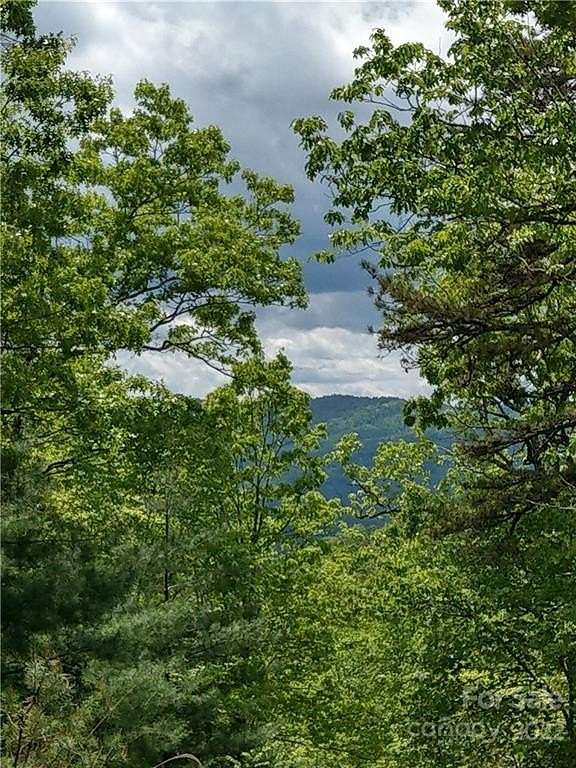 1 Acre of Residential Land for Sale in Penrose, North Carolina