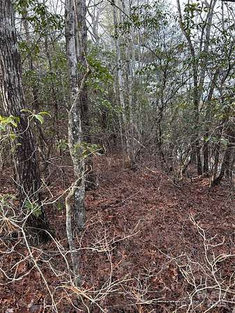 3 Acres of Residential Land for Sale in Brevard, North Carolina