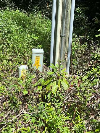 21.6 Acres of Recreational Land for Sale in Pisgah Forest, North Carolina