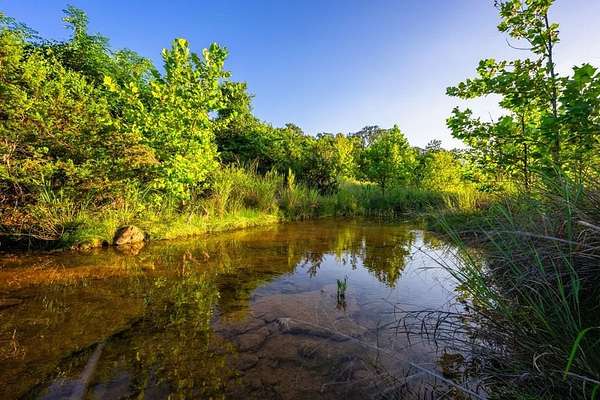 95.5 Acres of Land for Sale in Fredericksburg, Texas