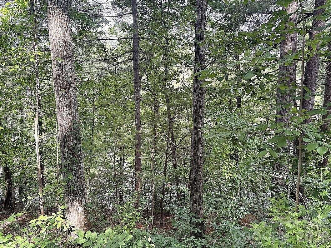 0.11 Acres of Residential Land for Sale in Hendersonville, North Carolina