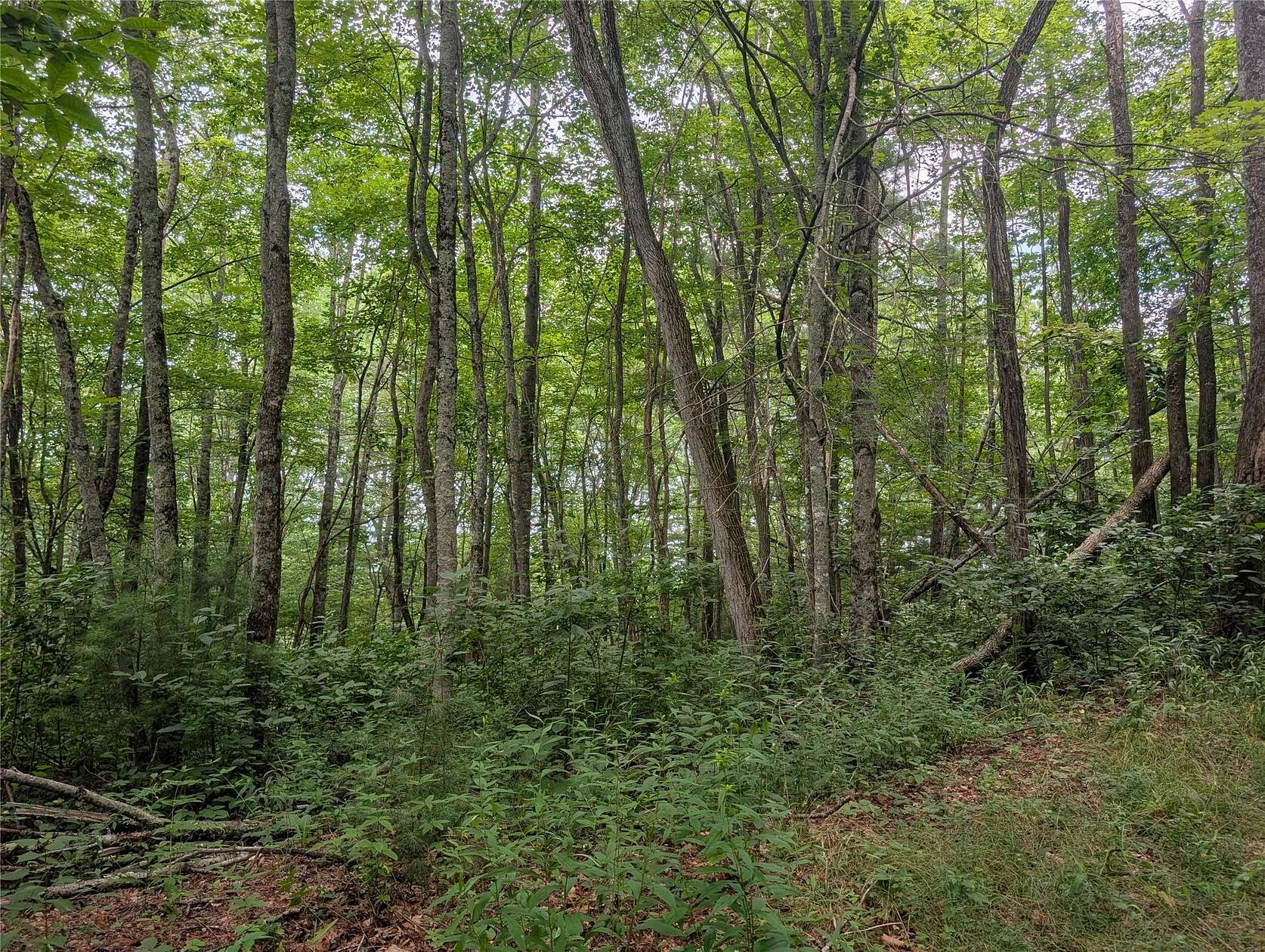 3 Acres of Land for Sale in Scaly Mountain, North Carolina