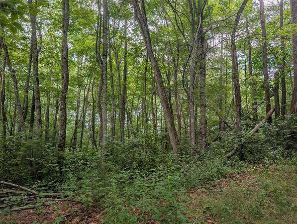 3 Acres of Land for Sale in Scaly Mountain, North Carolina